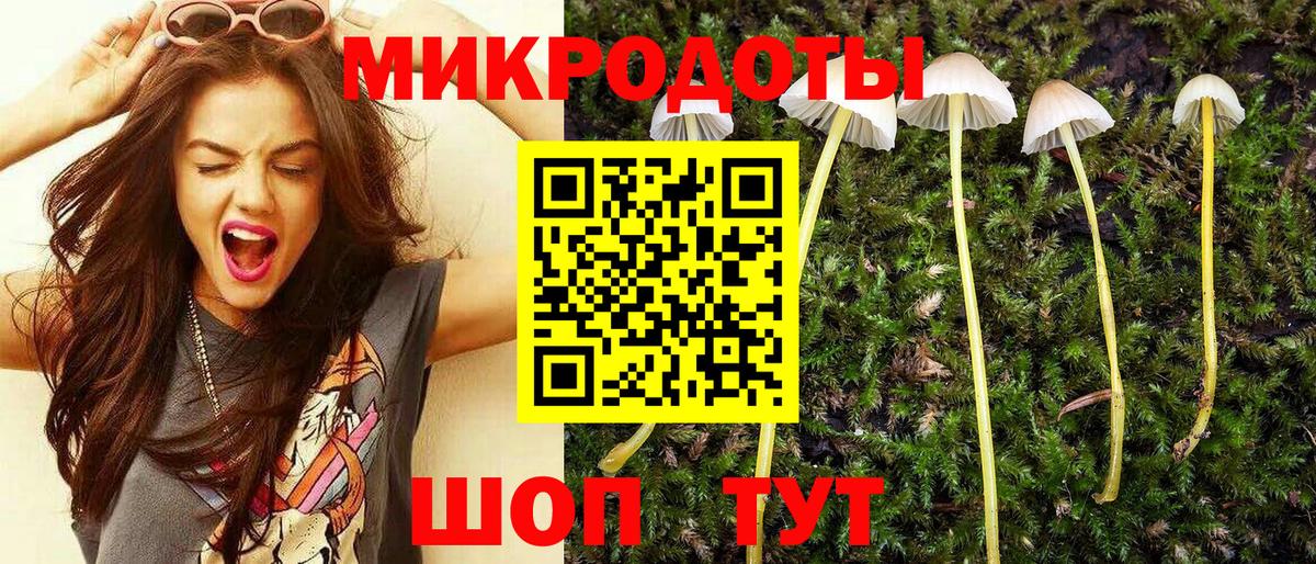Псилоцибиновые грибы Psilocybe Нарткала