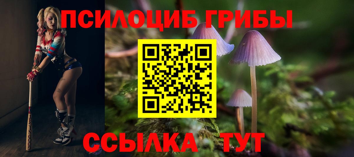 Нарткала  Псилоцибиновые грибы прущие грибы  Вход с VPN 