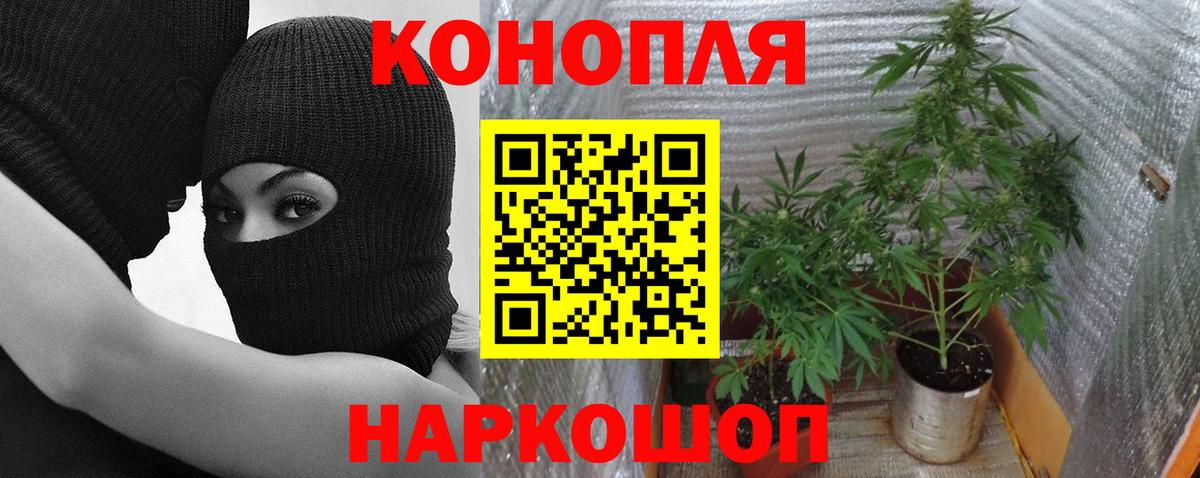 МАРИХУАНА гибрид Нарткала